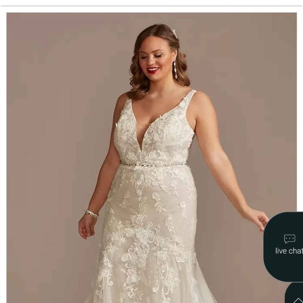 Plus Size Ivory Lace Wedding Dress with Plunging V-Neck